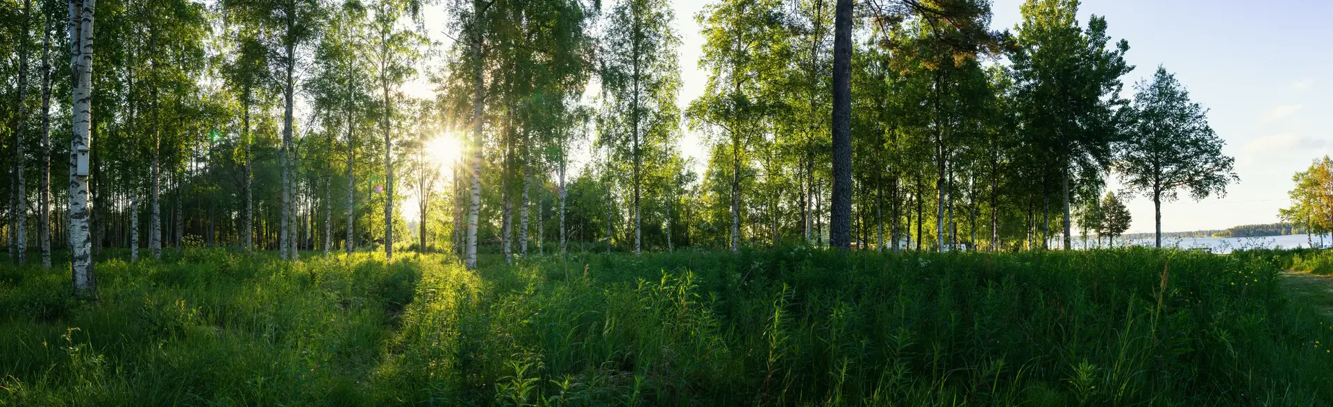 Experter på FTX-installation i Huddinge