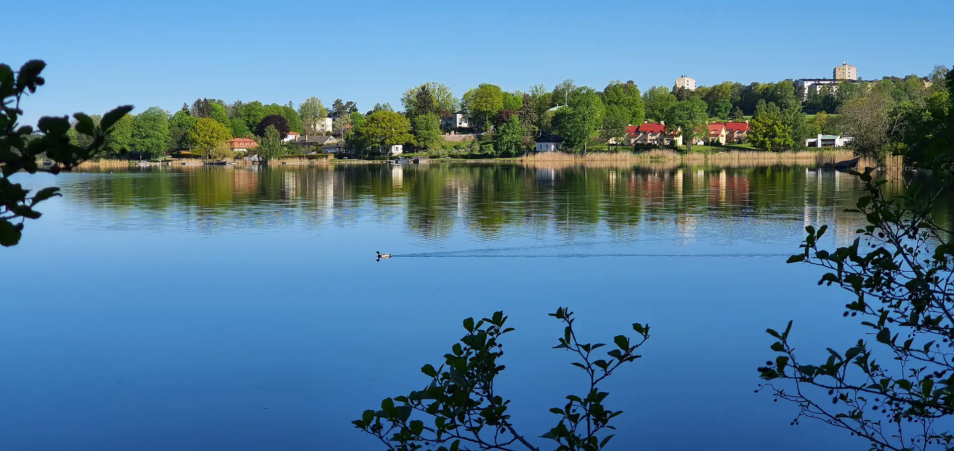 Experter på radonmätning i Huddinge